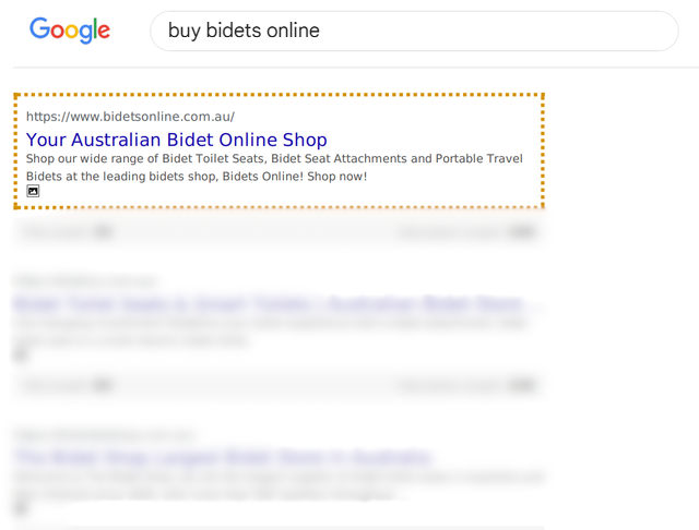 BIDETS ONLINE case study — ranked #1 on Google for "buy bidets online"